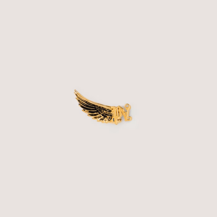 Wings Earring Jewelry